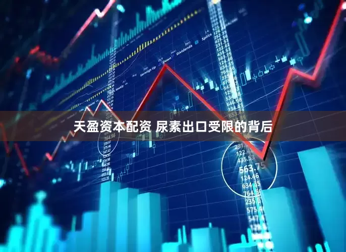 天盈资本配资 尿素出口受限的背后