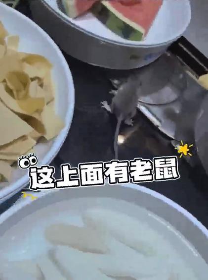 盛宝策略 北京一火锅店惊现老鼠吃自助，多方回应