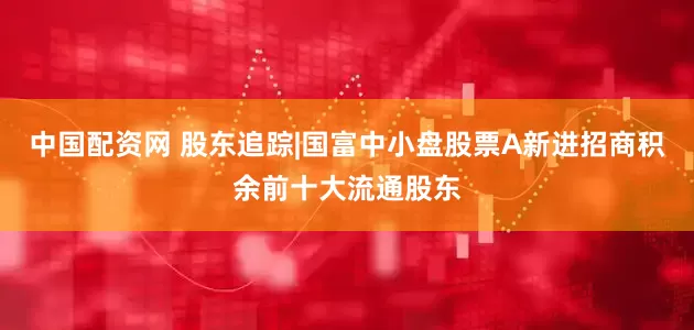中国配资网 股东追踪|国富中小盘股票A新进招商积余前十大流通股东
