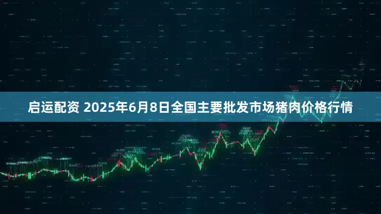 启运配资 2025年6月8日全国主要批发市场猪肉价格行情