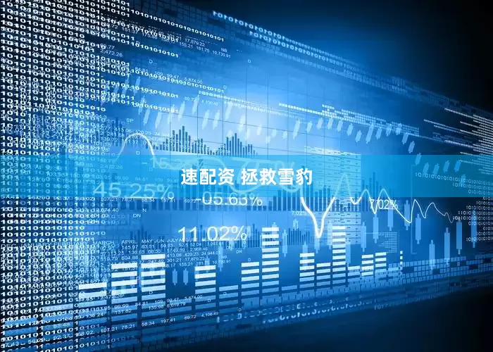 速配资 拯救雪豹