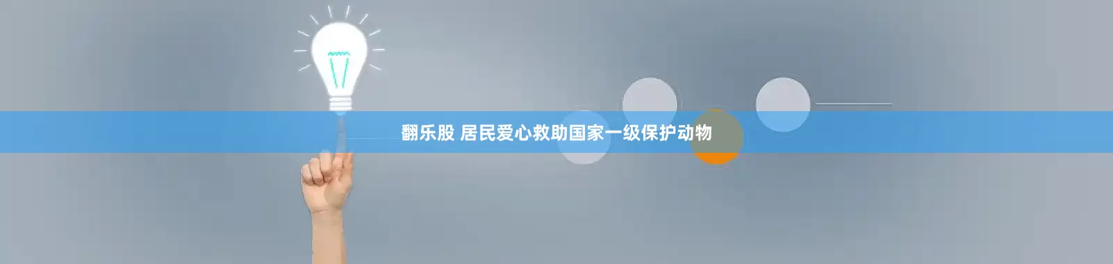 翻乐股 居民爱心救助国家一级保护动物