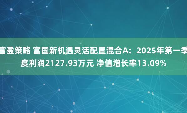 富盈策略 富国新机遇灵活配置混合A：2025年第一季度利润2127.93万元 净值增长率13.09%