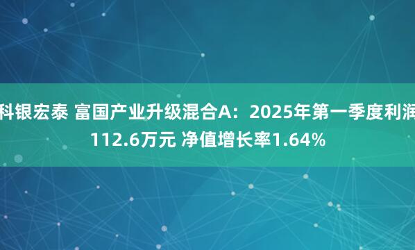 科银宏泰 富国产业升级混合A：2025年第一季度利润112.6万元 净值增长率1.64%