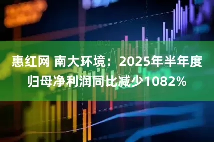 惠红网 南大环境：2025年半年度归母净利润同比减少1082%